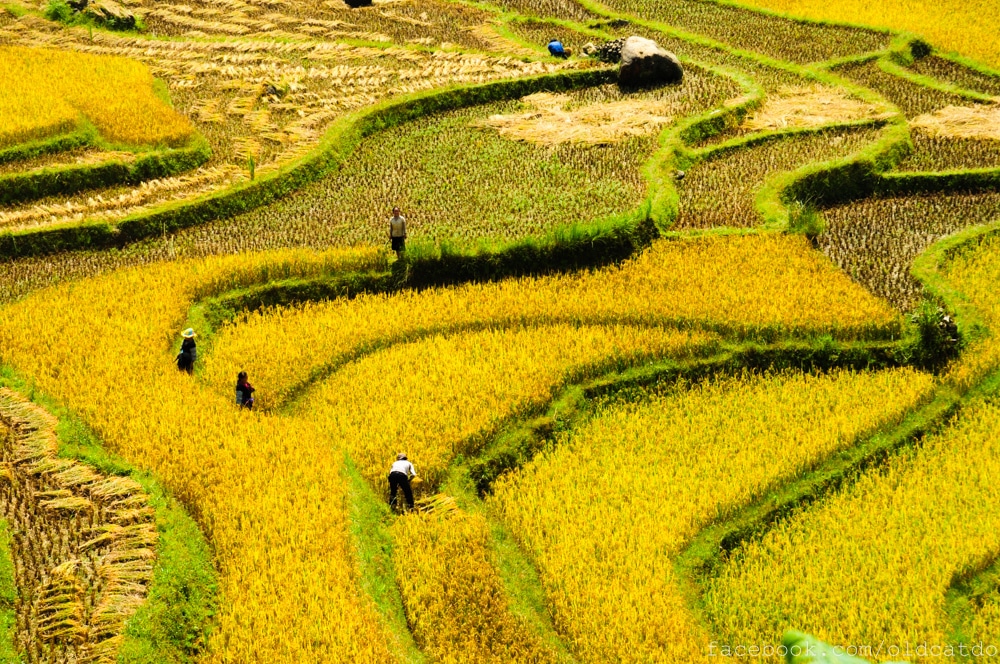 9 1410138952 1200x0 Copy - HUE PROVINCE