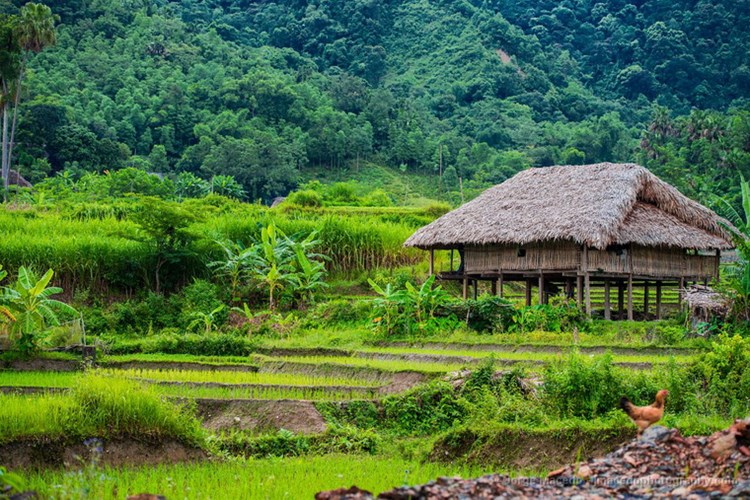 Nha san - BA VI NATIONAL PARK