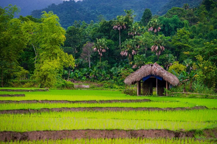 THung lung - MAU SON MOUNTAIN IN LANG SON