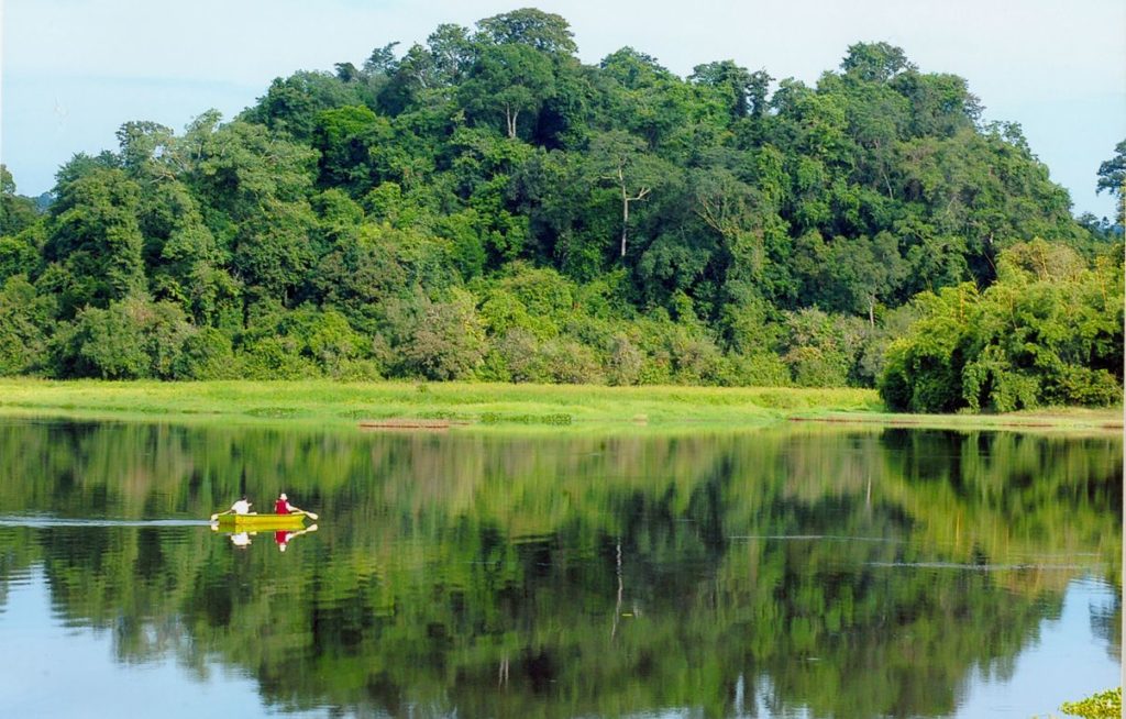 Cat Tien National Park 1024x654 - EASY-GOING VIETNAM MOTORBIKE TOUR FROM SAIGON TO HANOI
