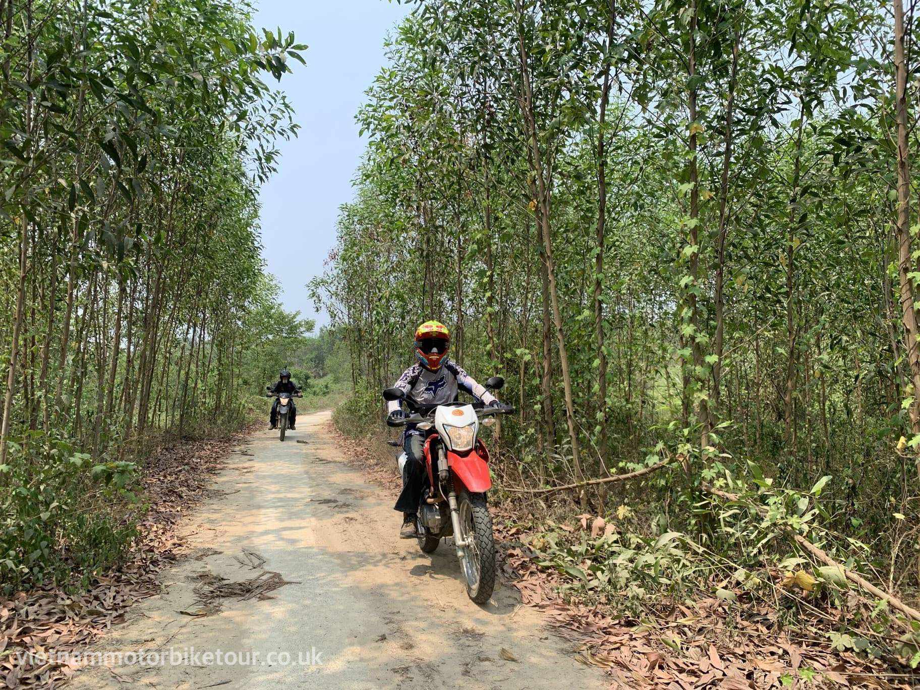 HOI AN MOTORBIKE TOUR TO SAIGON VIA KON TUM, BUON MA THUOT z4260171923463 1b00f5b837679af15a0f5316537ec192 - HOI AN MOTORBIKE TOUR TO SAIGON VIA KON TUM, BUON MA THUOT