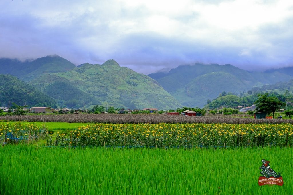 hanoi motorbike tour to ngoc chien son la 5 1024x683 - How to Get to Ngoc Chien in Muong La District, Son La Province from Hanoi?